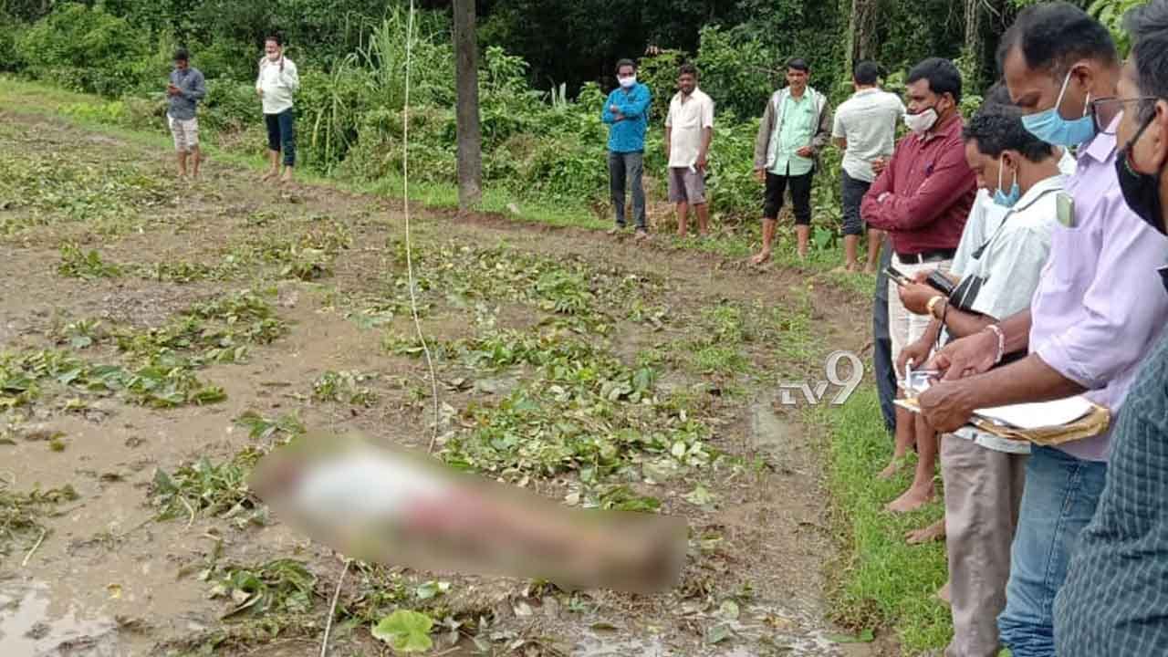 ವಿದ್ಯುತ್ ತಂತಿ ತುಳಿದು ರೈತ ಸಾಧು ದುರ್ಮರಣ ವಿದ್ಯುತ್ ತಂತಿ ತುಳಿದು ರೈತ ಸಾಧು ದುರ್ಮರಣ