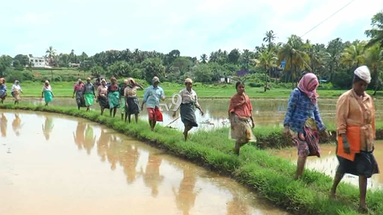 Budget 2021 | ಕೃಷಿಸಾಲ ಪ್ರಮಾಣದ ಮಿತಿ ಹೆಚ್ಚಳದ ನಿರೀಕ್ಷೆ