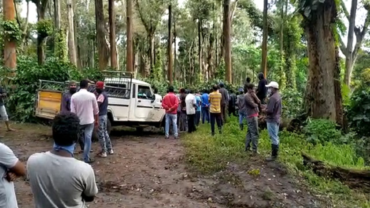 ಮಡಿಕೇರಿ ಎಸ್ಟೇಟ್ನಲ್ಲಿ 7 ಹಸುಗಳ ಕಳೇಬರ ಪತ್ತೆ ಮಡಿಕೇರಿ ಎಸ್ಟೇಟ್ನಲ್ಲಿ 7 ಹಸುಗಳ ಕಳೇಬರ ಪತ್ತೆ