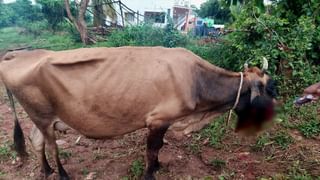 ‘ಪದೇಪದೆ ಲಾಕ್‌ಡೌನ್‌ನಿಂದ ಕೊರೊನಾ ನಿಯಂತ್ರಣವಾಗಲ್ಲ’