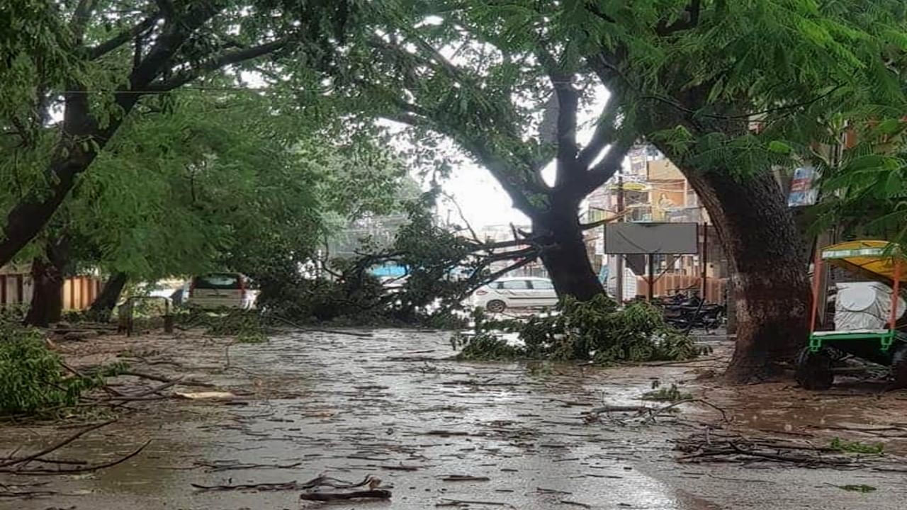 ಕಡೂರಲ್ಲಿ ಬಿರುಗಾಳಿ ಸಹಿತ ಭಾರೀ ಮಳೆ! ಧರೆಗುರುಳಿದ ಮರಗಳು, ಮುರಿದ ಬಿತ್ತು ಟವರ್..