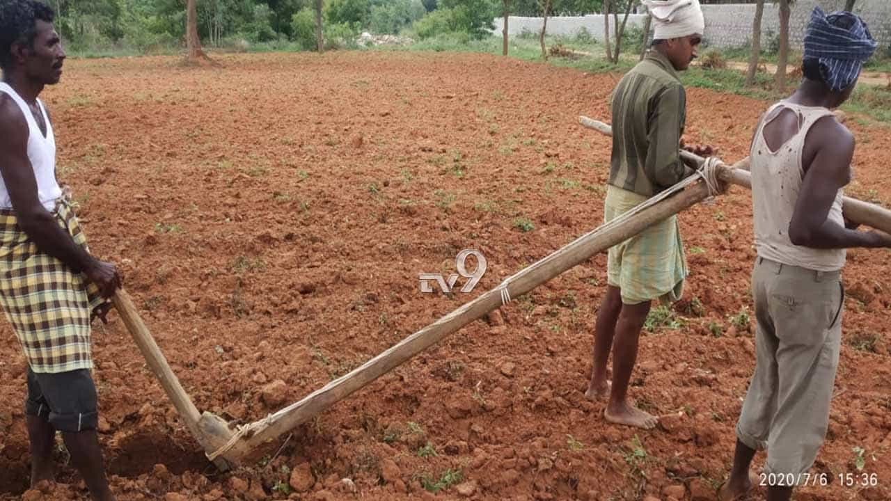 ರೈತರೇ ಜೋಡೆತ್ತುಗಳು, ಬೆವರೇ ನೀರು, ಕೃಷಿಯೇ ಜೀವಾಳ ಚಿನ್ನದ ನಾಡಿನ ಈ ಮಣ್ಣಿನ ಮಕ್ಕಳಿಗೆ ರೈತರೇ ಜೋಡೆತ್ತುಗಳು, ಬೆವರೇ ನೀರು, ಕೃಷಿಯೇ ಜೀವಾಳ ಚಿನ್ನದ ನಾಡಿನ ಈ ಮಣ್ಣಿನ ಮಕ್ಕಳಿಗೆ