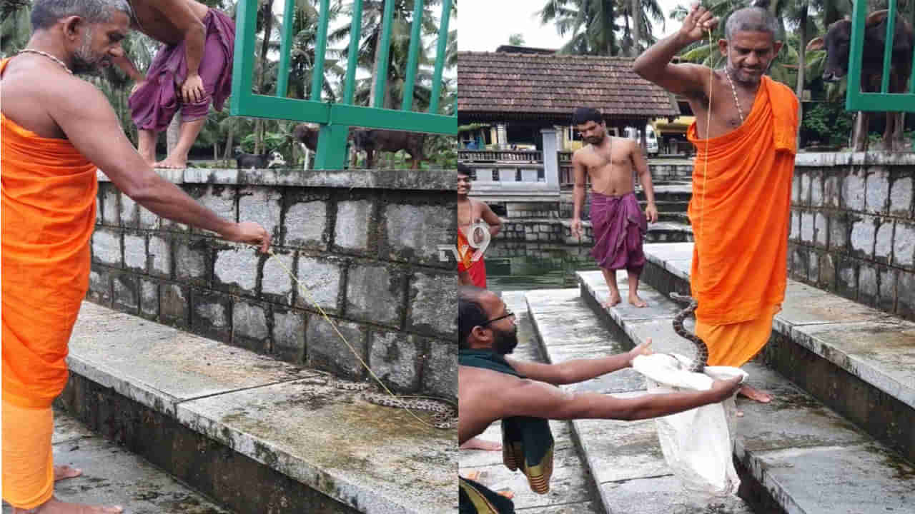 ಹಾವು ಹಿಡಿಯುವ ಕಲೆಯೂ ಗೊತ್ತು ಉಡುಪಿಯ ಈ ಸ್ವಾಮೀಜಿಗೆ