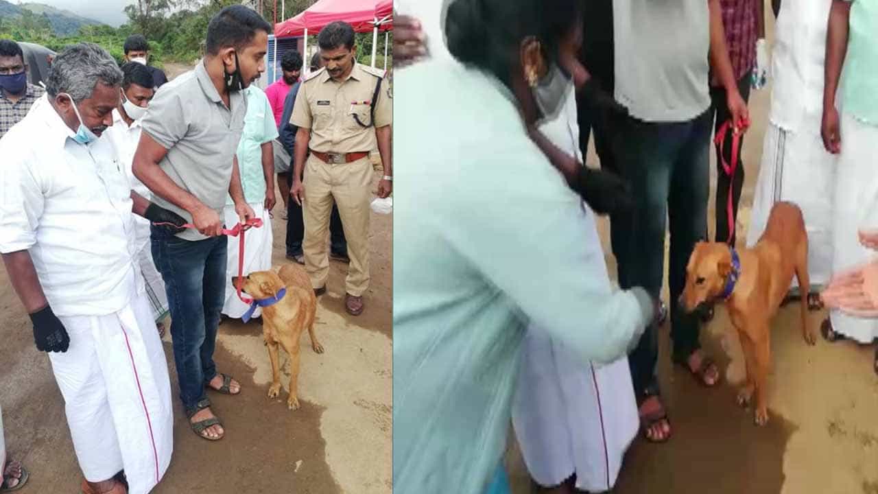 ಭೂಕುಸಿತದಲ್ಲಿ ಮಾಲೀಕನನ್ನು ಕಳೆದುಕೊಂಡು ಅನಾಥವಾಗಿದ್ದ ಶ್ವಾನಕ್ಕೆ ಆಸರೆಯಾದ ಖಾಕಿ ಭೂಕುಸಿತದಲ್ಲಿ ಮಾಲೀಕನನ್ನು ಕಳೆದುಕೊಂಡು ಅನಾಥವಾಗಿದ್ದ ಶ್ವಾನಕ್ಕೆ ಆಸರೆಯಾದ ಖಾಕಿ