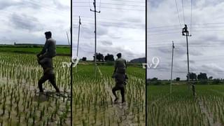 ಕೊಳ್ಳೇಗಾಲದ ಜೋಳದ ಗದ್ದೆಯಲ್ಲಿ ಭಾರಿ ಗಾತ್ರದ ಹೆಬ್ಬಾವು ಪತ್ತೆ