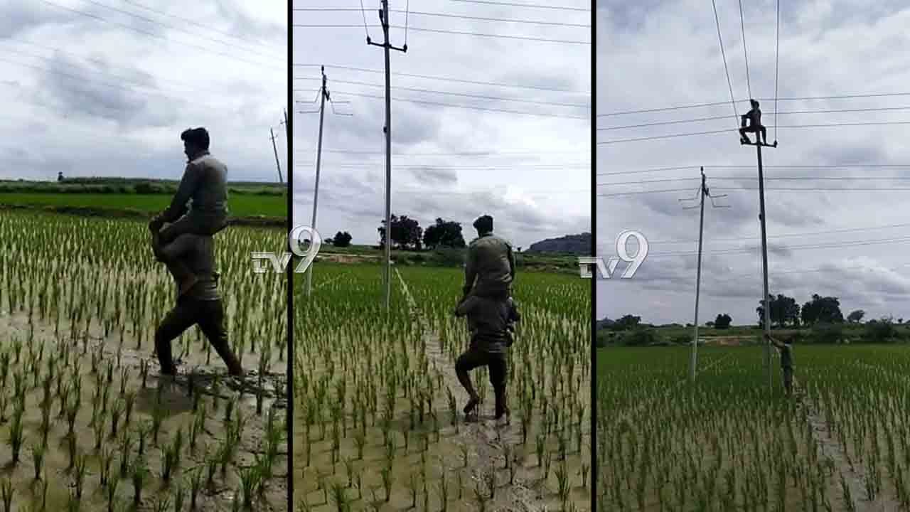 ನೆರೆಯೇ ಇರಲಿ ಮಳೆಯೇ ಬರಲಿ... ಕೆಲಸಕ್ಕೆ ರೆಡಿಯಾದ್ರು ಲೈನ್ಮನ್! ನೆರೆಯೇ ಇರಲಿ ಮಳೆಯೇ ಬರಲಿ... ಕೆಲಸಕ್ಕೆ ರೆಡಿಯಾದ್ರು ಲೈನ್ಮನ್!