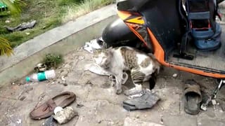 ಡಿಜೆ ಹಳ್ಳಿ ಗಲಭೆ: ಆರೋಪಿಗಳನ್ನು ಕೋರ್ಟ್‌ಗೆ ಹಾಜರು ಪಡಿಸಿದ ಪೊಲೀಸರು