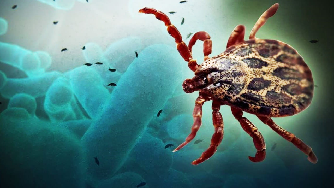 ಕೊರೊನಾ ಬೆನ್ನಲ್ಲೇ ಚೀನಾದಿಂದ ಬರುತ್ತಿದೆ ಮತ್ತೊಂದು ಘಾತಕ ವೈರಸ್ ಕೊರೊನಾ ಬೆನ್ನಲ್ಲೇ ಚೀನಾದಿಂದ ಬರುತ್ತಿದೆ ಮತ್ತೊಂದು ಘಾತಕ ವೈರಸ್