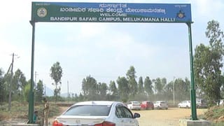 ಶಿರಾ ಉಪಚುನಾವಣೆ: ಸತ್ಯನಾರಾಯಣ ಕುಟುಂಬದವರಿಗೇ ಬಿಜೆಪಿ ಗಾಳ?