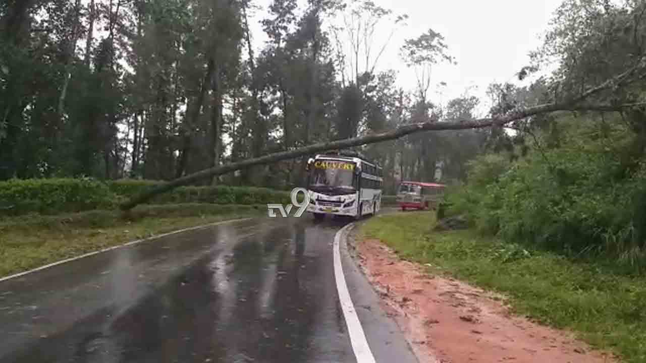 ಕಾಫಿನಾಡಲ್ಲಿ ವರುಣಾಘಾತ: ಬಸ್ ಮೇಲೆ ಉರುಳಿದ ಮರ, ವಾಹನ ಸಂಚಾರ ಬಂದ್ ಕಾಫಿನಾಡಲ್ಲಿ ವರುಣಾಘಾತ: ಬಸ್ ಮೇಲೆ ಉರುಳಿದ ಮರ, ವಾಹನ ಸಂಚಾರ ಬಂದ್