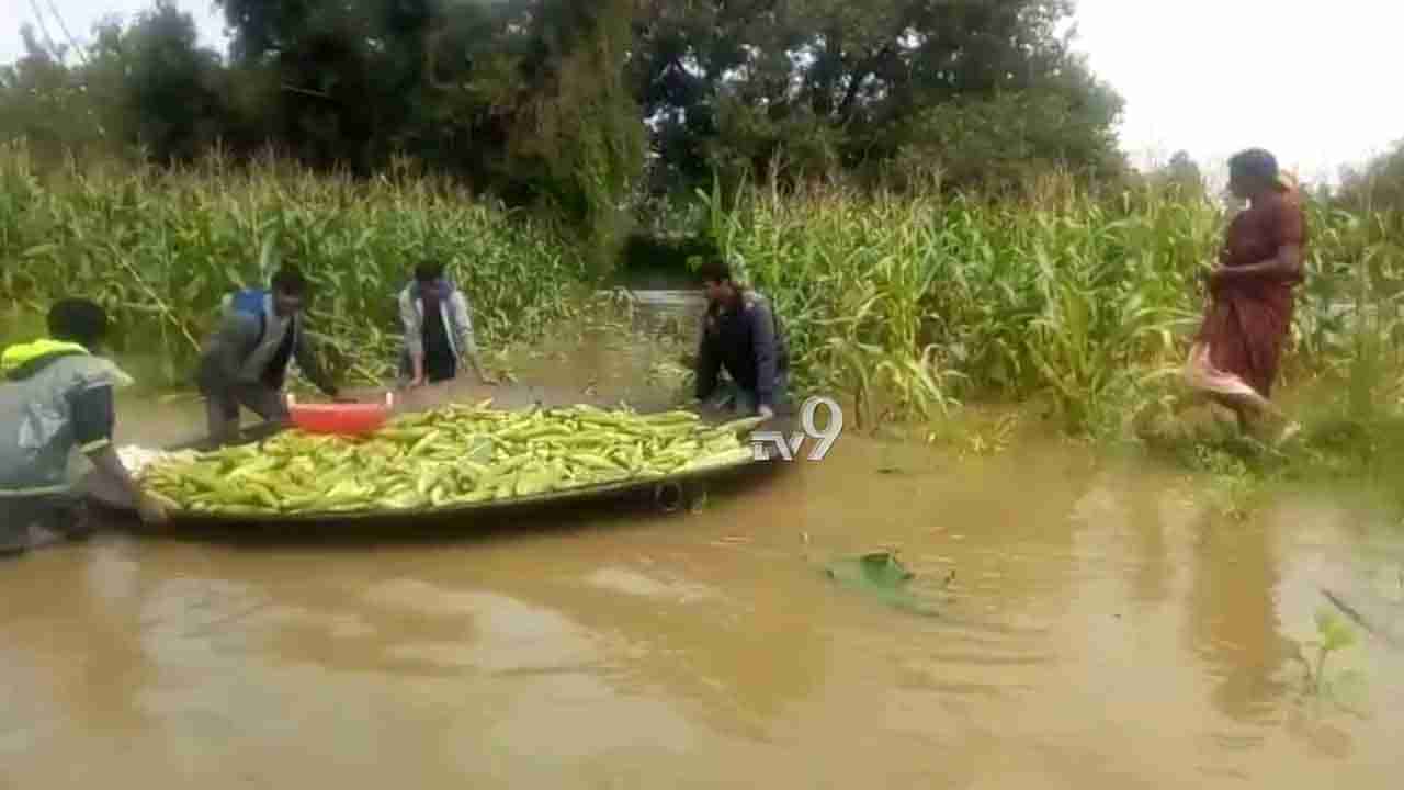 ವರುಣರಾಯನ ಅವಾಂತರ: ಕಣ್ಣೀರು ಮಡುವಿನಲ್ಲಿ ಅನ್ನದಾತರು