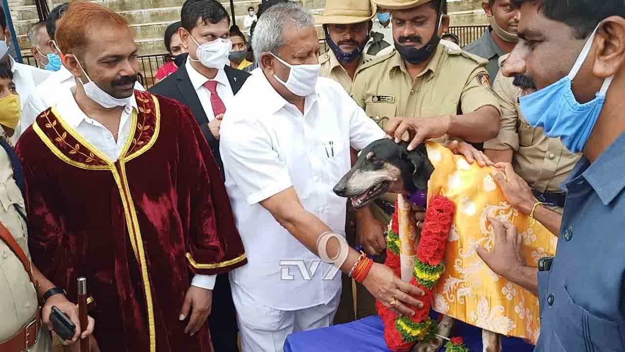 11 ಕಿ.ಮೀ ದೂರದಲ್ಲಿದ್ದ ಆರೋಪಿಯನ್ನ ವಾಸನೆಯಲ್ಲೇ ಕಂಡು ಹಿಡಿದ ಶ್ವಾನಕ್ಕೆ ಸನ್ಮಾನ 11 ಕಿ.ಮೀ ದೂರದಲ್ಲಿದ್ದ ಆರೋಪಿಯನ್ನ ವಾಸನೆಯಲ್ಲೇ ಕಂಡು ಹಿಡಿದ ಶ್ವಾನಕ್ಕೆ ಸನ್ಮಾನ