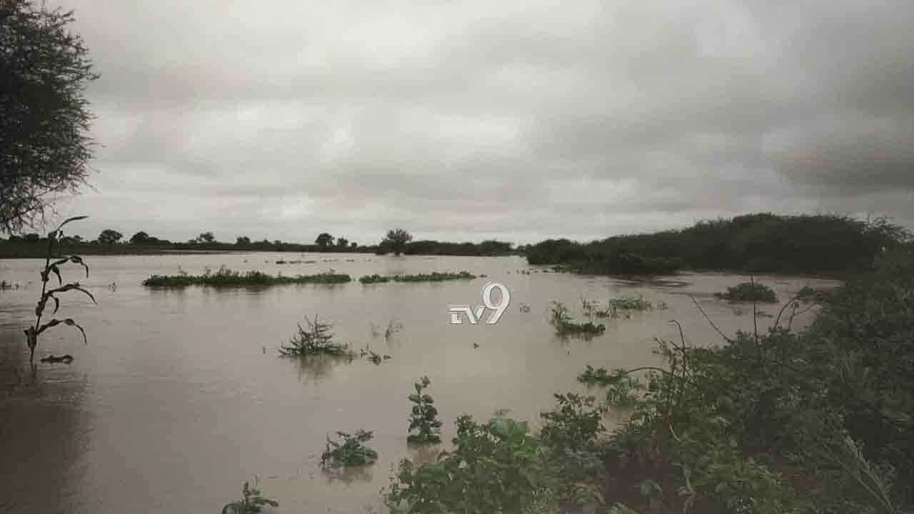ತುಂಬಿದ ತುಪ್ಪರಿ ಹಳ್ಳ: ಕೊರೊನಾ ಸಂಕಷ್ಟ ನಡುವೆ ರೈತರಿಗೆ ಶಾಕ್, ಅಪಾರ ಬೆಳೆ ನಾಶ