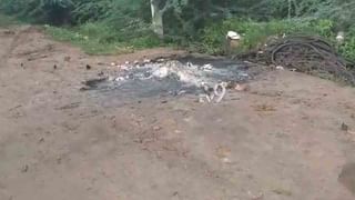 ರಸ್ತೆ ದಾಟುವ ವೇಳೆ ಕ್ಯಾಂಟರ್ ಡಿಕ್ಕಿ, ಪಾದಚಾರಿ ಸ್ಥಳದಲ್ಲೇ ಸಾವು