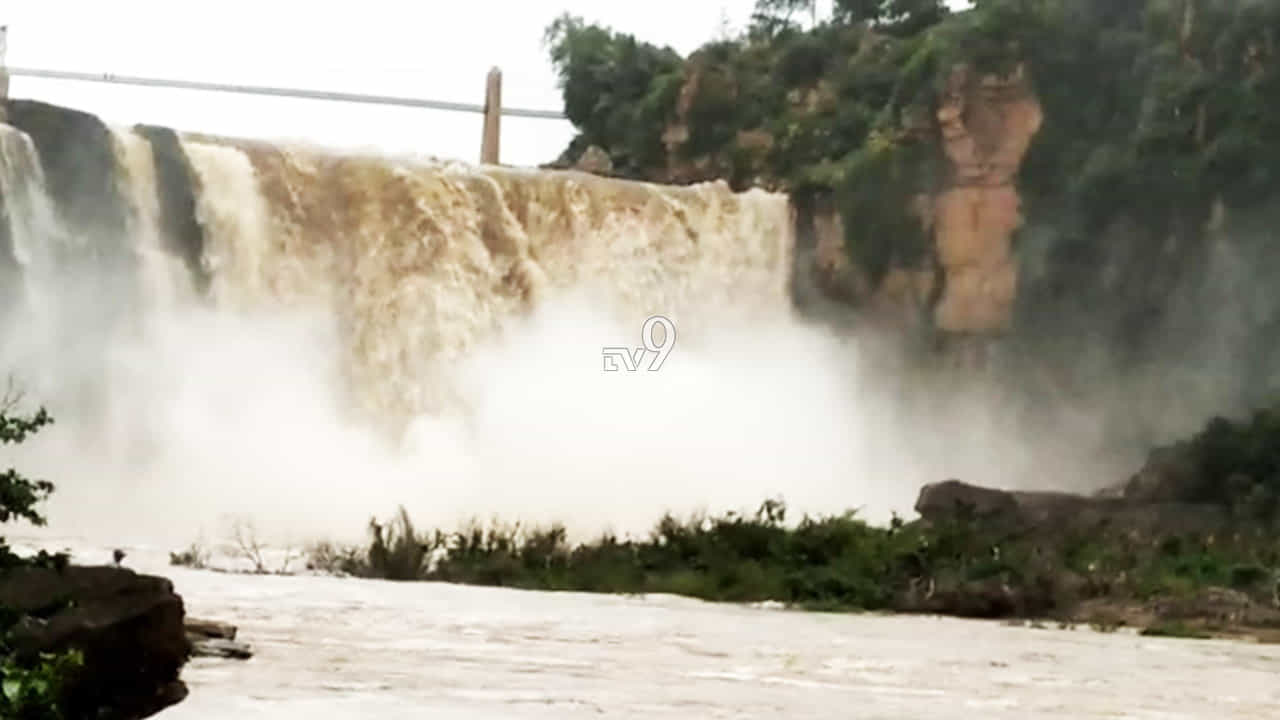 ಸುರಿಯುತ್ತಿರುವ ಭಾರೀ ಮಳೆಗೆ ಭೋರ್ಗೆರೆಯುತ್ತಿದೆ ಶತಮಾನದ ಸುಂದರಿ ಗೋಕಾಕ್ ಫಾಲ್ಸ್ ಸುರಿಯುತ್ತಿರುವ ಭಾರೀ ಮಳೆಗೆ ಭೋರ್ಗೆರೆಯುತ್ತಿದೆ ಶತಮಾನದ ಸುಂದರಿ ಗೋಕಾಕ್ ಫಾಲ್ಸ್