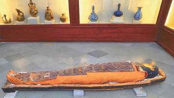 ಜೈಪುರದಲ್ಲಿ ಪೆಟ್ಟಿಗೆಯಿಂದ ಹೊರಬಂದ 2,400 ವರ್ಷ ಹರೆಯದ Tutu Mummy