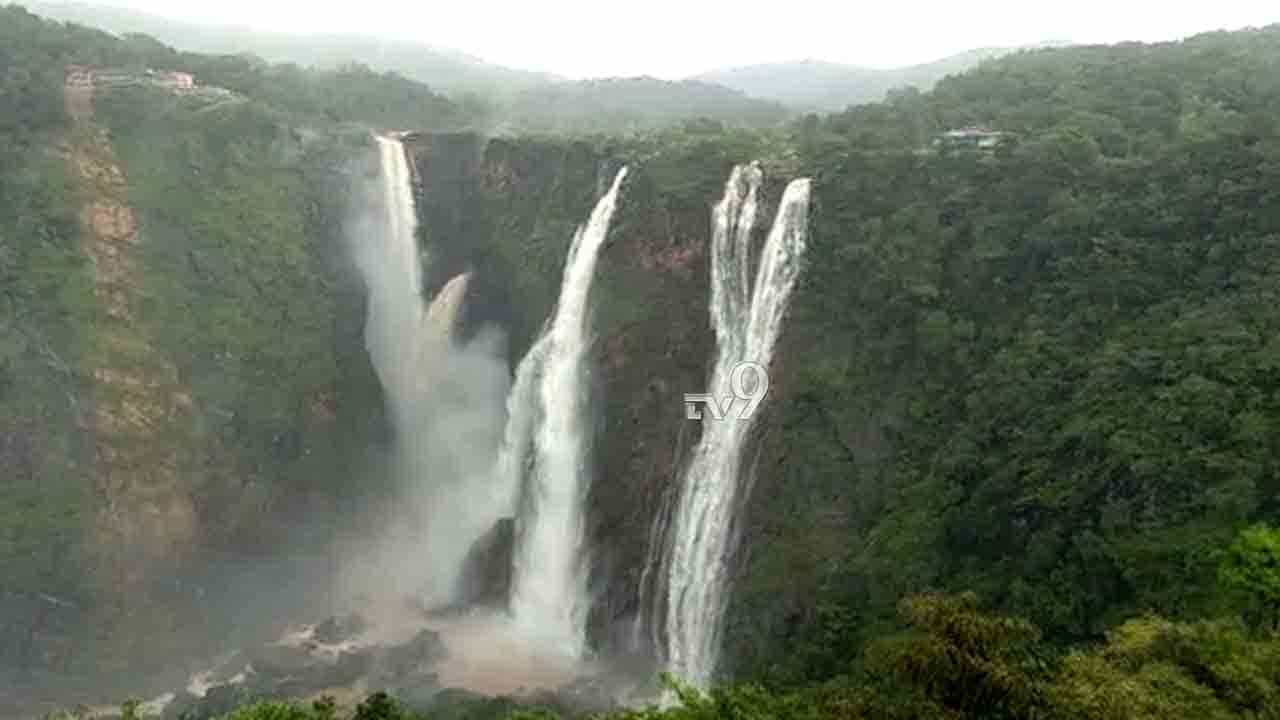 ಕೊರೊನಾ ಕಾಟದ ನಡುವೆಯೂ ನೋಡಿ ಜೋಗಾದ್ ಗುಂಡಿ! ಕೊರೊನಾ ಕಾಟದ ನಡುವೆಯೂ ನೋಡಿ ಜೋಗಾದ್ ಗುಂಡಿ!