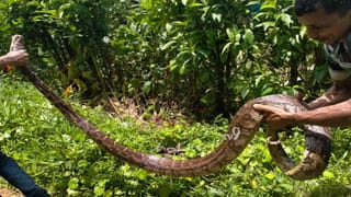 ‘ಇಂದ್ರಜಿತ್ ತಂದೆ ಲಂಕೇಶ್​ಗೆ ಪೋಸ್ಟ್​ಮಾರ್ಟಂ ಮಾಡಿಸಿದ್ರಾ?’