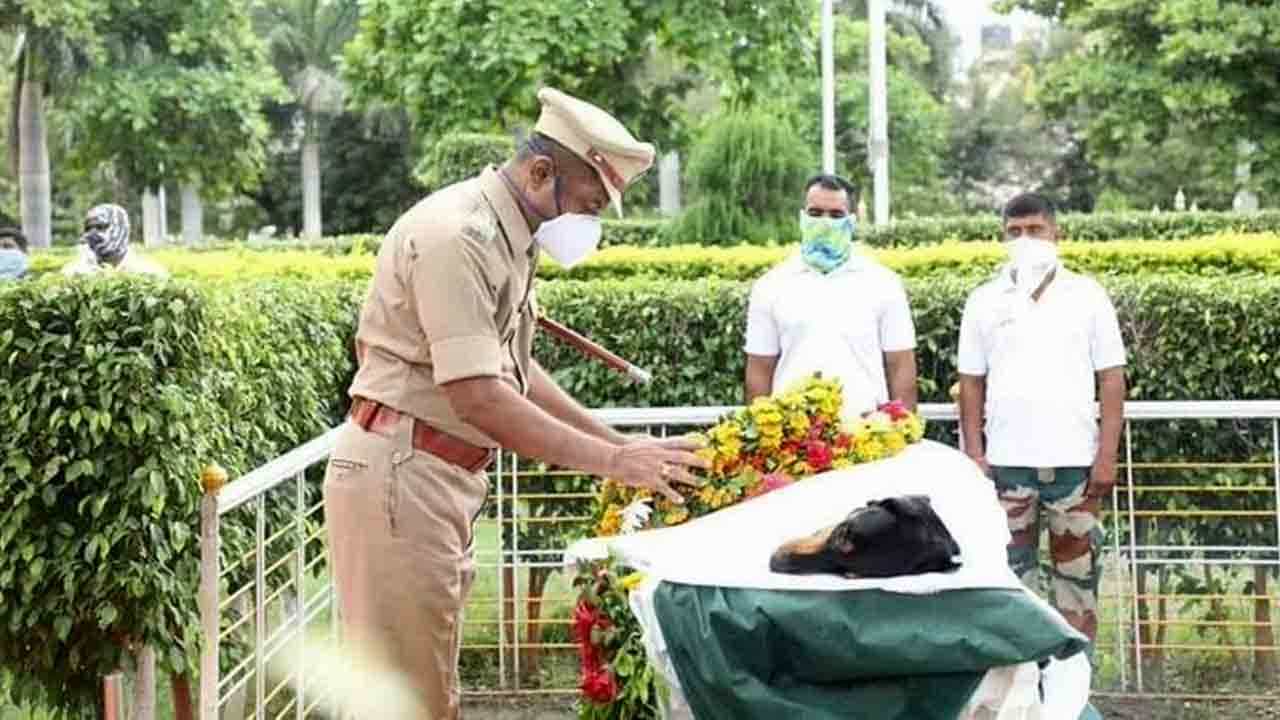 365 ಕೇಸ್ಗಳನ್ನ ಭೇದಿಸಿದ್ದ ಶ್ವಾನಕ್ಕೆ ಅಂತಿಮವಾಗಿ ಸಲಾಂ ‘ರಾಕಿ’ ಭಾಯ್ ಎಂದ ಖಾಕಿ 365 ಕೇಸ್ಗಳನ್ನ ಭೇದಿಸಿದ್ದ ಶ್ವಾನಕ್ಕೆ ಅಂತಿಮವಾಗಿ ಸಲಾಂ ‘ರಾಕಿ’ ಭಾಯ್ ಎಂದ ಖಾಕಿ