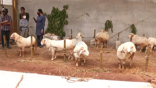 ಕರ್ನಾಟಕದ ಪಾಲಿಗೆ Deadly July ಆಗಿದ್ದೇಗೆ..? ಆಗಸ್ಟ್​ನಲ್ಲಿ ಪರಿಸ್ಥಿತಿ ಹೇಗಿರಲಿದೆ?