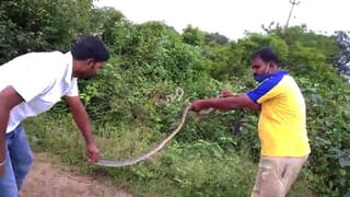 ಪ್ರವಾಹ ಪರಿಸ್ಥಿತಿ ಬಗ್ಗೆ CM BSY ಬದಲು ಯಾವ ಸಚಿವರ ಜೊತೆ ಮೋದಿ ಚರ್ಚೆ ಮಾಡ್ತಾರೆ ಗೊತ್ತಾ?