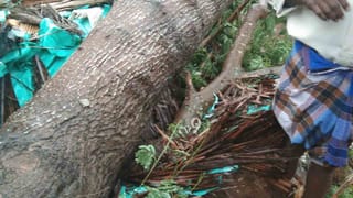 ಕಾಫಿನಾಡಲ್ಲಿ ವರುಣಾಘಾತ: ಬಸ್​ ಮೇಲೆ ಉರುಳಿದ ಮರ, ವಾಹನ ಸಂಚಾರ ಬಂದ್