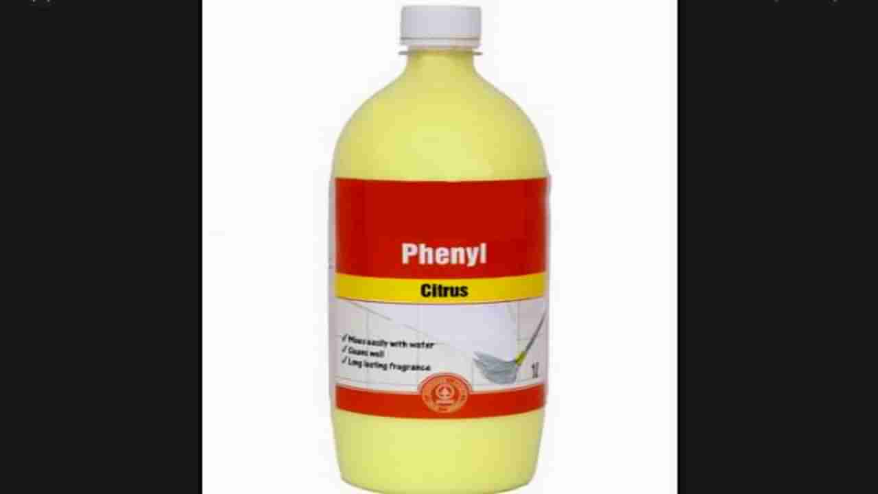 ಫಿನಾಯಿಲ್ ಮಾರುವ ಯುವತಿ, ಮನೆ ದರೋಡೆಗೆ ಮುನ್ನ ಮಾಡಿದ ಹೇಯ ಕೃತ್ಯವೇನು?