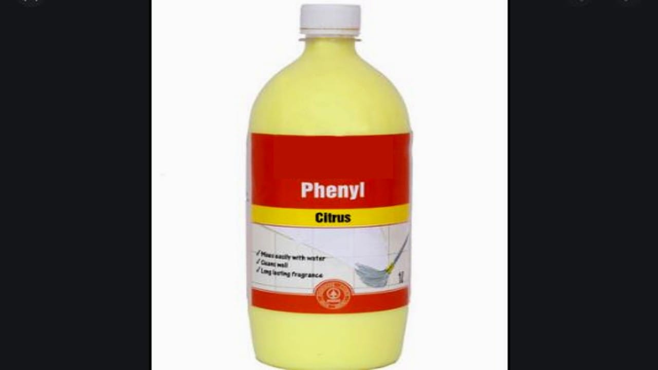 ಫಿನಾಯಿಲ್ ಮಾರುವ ಯುವತಿ, ಮನೆ ದರೋಡೆಗೆ ಮುನ್ನ ಮಾಡಿದ ಹೇಯ ಕೃತ್ಯವೇನು? ಫಿನಾಯಿಲ್ ಮಾರುವ ಯುವತಿ, ಮನೆ ದರೋಡೆಗೆ ಮುನ್ನ ಮಾಡಿದ ಹೇಯ ಕೃತ್ಯವೇನು?