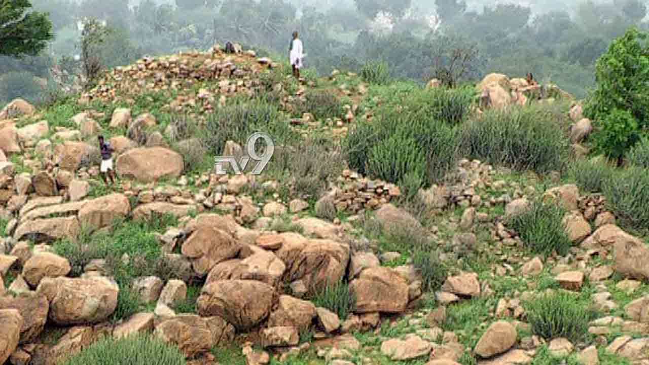 ಕೃಷ್ಣಾ ನದಿ ನಡುಗಡ್ಡೆಯಲ್ಲಿ ಸಿಲುಕಿದ 4 ಕುರಿಗಾಹಿಗಳ ಪರದಾಟ ಕೃಷ್ಣಾ ನದಿ ನಡುಗಡ್ಡೆಯಲ್ಲಿ ಸಿಲುಕಿದ 4 ಕುರಿಗಾಹಿಗಳ ಪರದಾಟ