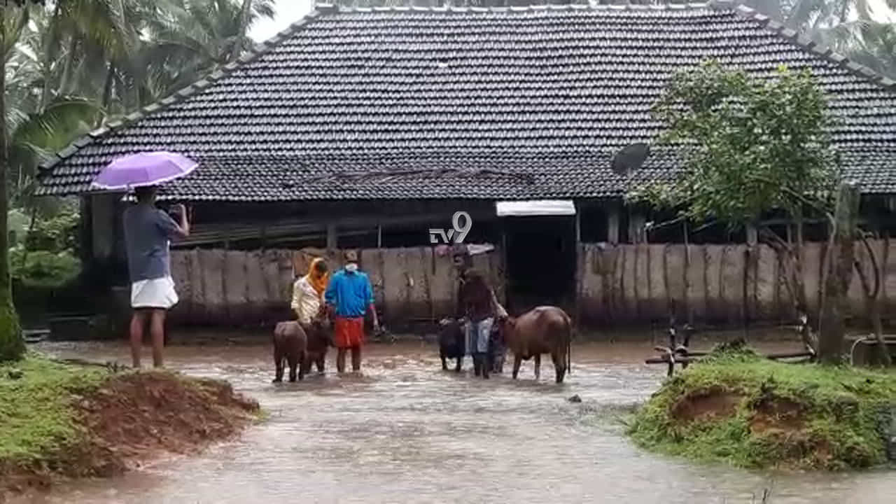 ಉಕ್ಕಿ ಹರಿಯುತ್ತಿರುವ ಪಾಪನಾಶಿನಿ ನದಿ, ಮಠದಲ್ಲಿದ್ದ 21 ಹಸುಗಳ ಸ್ಥಳಾಂತರ ಉಕ್ಕಿ ಹರಿಯುತ್ತಿರುವ ಪಾಪನಾಶಿನಿ ನದಿ, ಮಠದಲ್ಲಿದ್ದ 21 ಹಸುಗಳ ಸ್ಥಳಾಂತರ