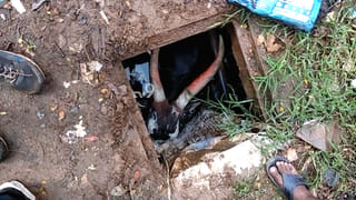 ಚಂದ್ರಗಿರಿ ಬಳಿ ಬೇಟೆಗೆ ತೆರಳಿದ್ದ ವ್ಯಕ್ತಿ ಗುಂಡಿಗೆ ಬಲಿ