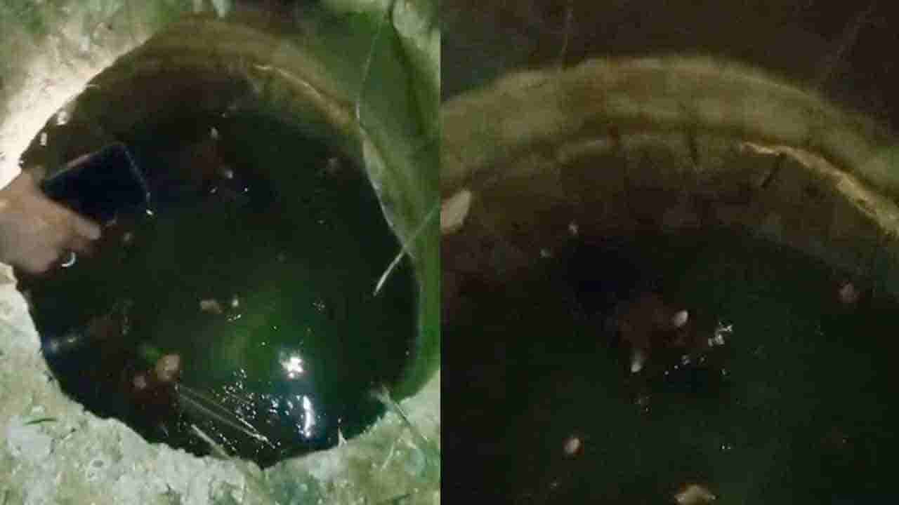 ಅಮೃತ ನೀಡುವ ಹಸು ಒದ್ದಾಡುತ್ತಿದ್ದರೂ ಬರಲಿಲ್ಲ ಜನ ಸಹಾಯಕ್ಕೆ.. ವಿಡಿಯೋ ಮಾಡ್ತಿದ್ರು!