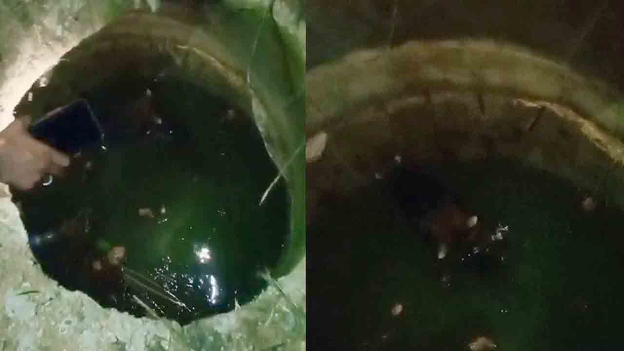 ಅಮೃತ ನೀಡುವ ಹಸು ಒದ್ದಾಡುತ್ತಿದ್ದರೂ ಬರಲಿಲ್ಲ ಜನ ಸಹಾಯಕ್ಕೆ.. ವಿಡಿಯೋ ಮಾಡ್ತಿದ್ರು!