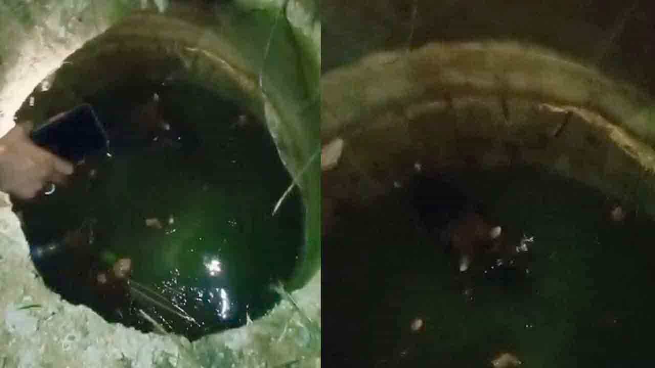 ಅಮೃತ ನೀಡುವ ಹಸು ಒದ್ದಾಡುತ್ತಿದ್ದರೂ ಬರಲಿಲ್ಲ ಜನ ಸಹಾಯಕ್ಕೆ.. ವಿಡಿಯೋ ಮಾಡ್ತಿದ್ರು! ಅಮೃತ ನೀಡುವ ಹಸು ಒದ್ದಾಡುತ್ತಿದ್ದರೂ ಬರಲಿಲ್ಲ ಜನ ಸಹಾಯಕ್ಕೆ.. ವಿಡಿಯೋ ಮಾಡ್ತಿದ್ರು!