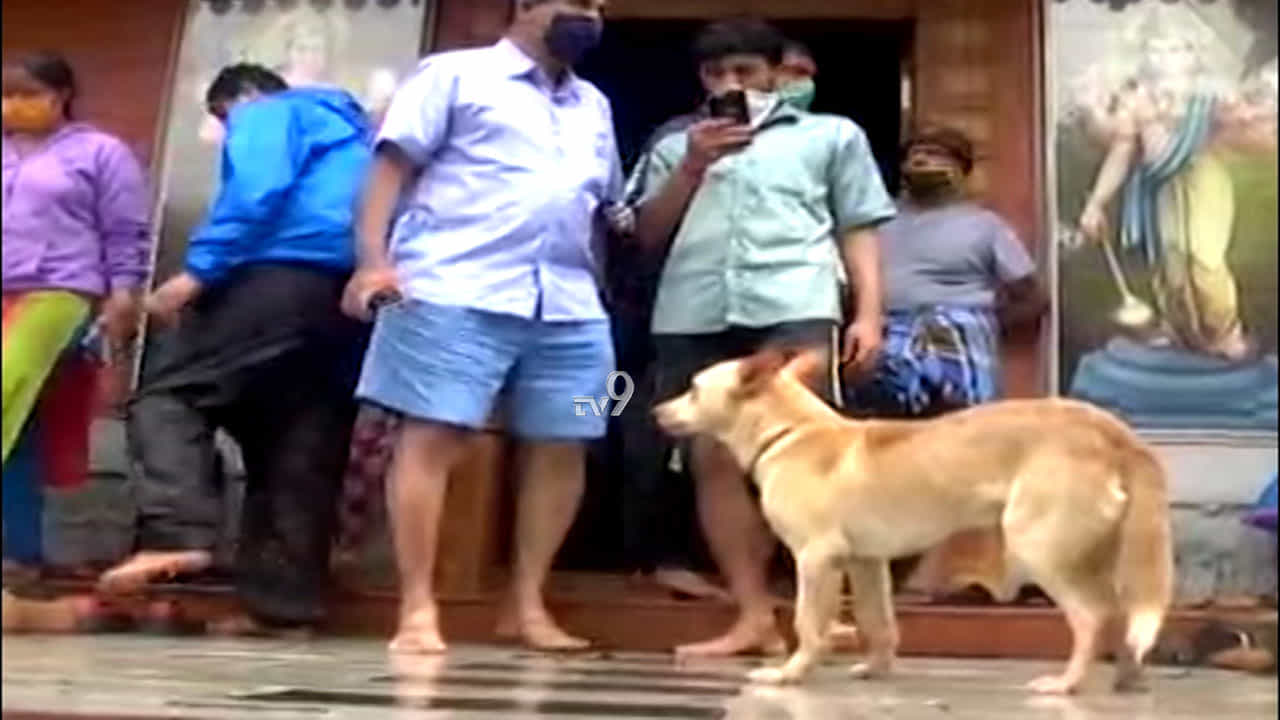 ಕಾಳಜಿ ಕೇಂದ್ರದಲ್ಲಿರೋ ಮಾಲೀಕನ ಕಾಣಲು ಬಂದ ಸಾಕು ನಾಯಿಯ ಮೂಕ ವೇದನೆ,ಎಲ್ಲಿ?