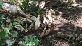 ನೀರು ತರುವಾಗ ಕಾಲುಜಾರಿ ಬಿದ್ದು ಬಾಲಕ ನೀರುಪಾಲು