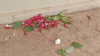 ಸಿದ್ದರಾಮಯ್ಯ ಶೀಘ್ರ ಗುಣಮುಖರಾಗಲಿ ಟ್ವಿಟರ್ ಮೂಲಕ ಹಾರೈಸಿದ HDD