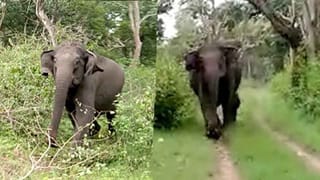 KG ಹಳ್ಳಿ- DJ ಹಳ್ಳಿ ಗಲಾಟೆ: ತನಿಖೆ ಚುರುಕುಗೊಳಿಸಲು ಬಂತು 4 ಸ್ಪೆಷಲ್​ ಖಾಕಿ squad