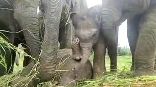 ಒಂದೆಡೆ ಸೋಂಕಿತರಿಲ್ಲದೆ ಬೆಡ್​ ಖಾಲಿ ಖಾಲಿ, ಈ ಕಡೆ ಬೆಡ್​ ವ್ಯವಸ್ಥೆಯೇ ಇಲ್ಲ!