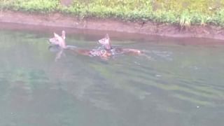 ಶೋಕಿ ಜೀವನ ನಡೆಸೋಕೆ ಈ ಪಾಪಿ ತಂದೆ ಮಾಡಿದ್ದೇನು ಗೊತ್ತಾ?