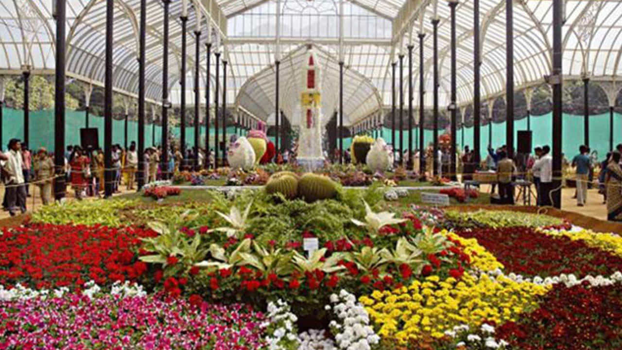 ಈ ಬಾರಿಯ ಲಾಲ್ ಬಾಗ್ Flower Show ಕ್ಯಾನ್ಸಲ್, ಕಾರಣವೇನು ಗೊತ್ತಾ? ಈ ಬಾರಿಯ ಲಾಲ್ ಬಾಗ್ Flower Show ಕ್ಯಾನ್ಸಲ್, ಕಾರಣವೇನು ಗೊತ್ತಾ?
