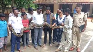 ನೆರೆಯೇ ಇರಲಿ ಮಳೆಯೇ ಬರಲಿ… ಕೆಲಸಕ್ಕೆ ರೆಡಿಯಾದ್ರು ಲೈನ್​ಮನ್​!