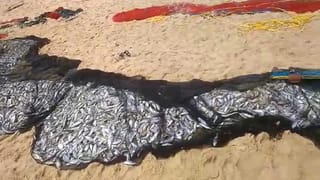 ರಾಜ್ಯದಲ್ಲಿಂದು 8,324 ಜನರಿಗೆ ಕೊರೊನಾ ಸೋಂಕು, 115 ಸಾವು