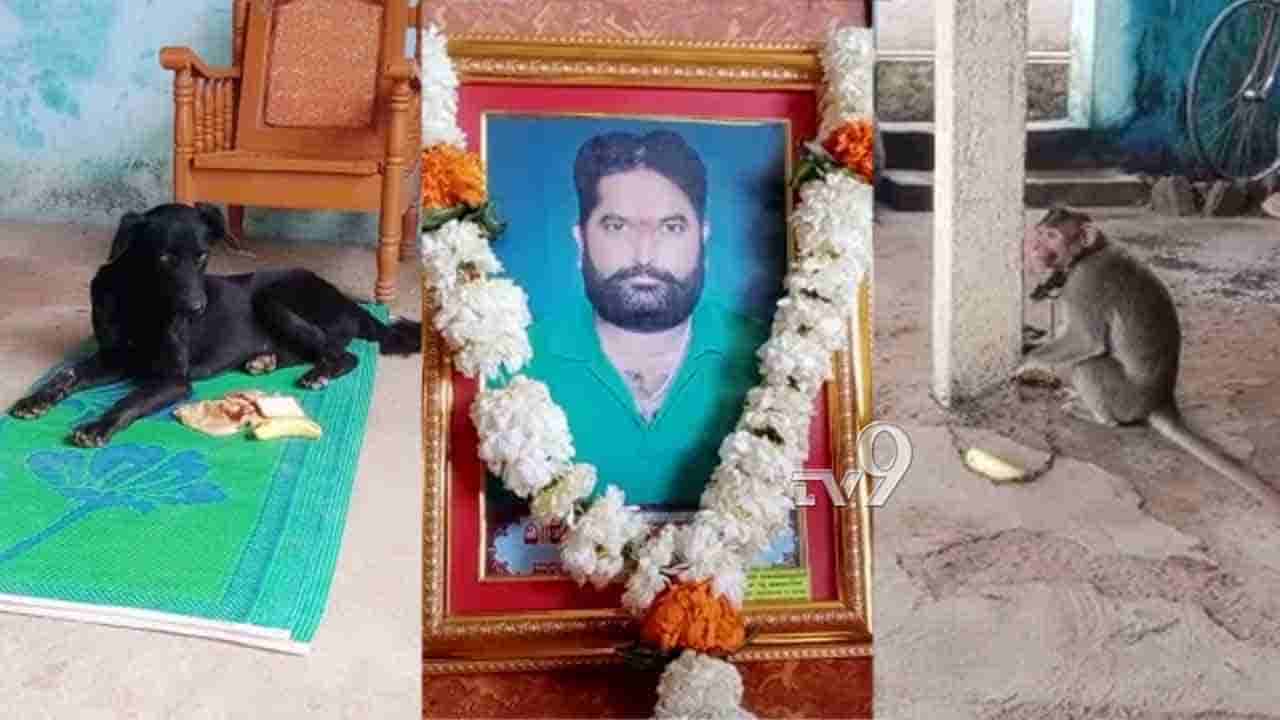 ಅಗಲಿದ ಮಾಲೀಕನ ದಾರಿ ಕಾಯುತ್ತಾ ಕುಳಿತ ಮೂಕಜೀವಿಗಳ ಸ್ವಾಮಿನಿಷ್ಠೆ