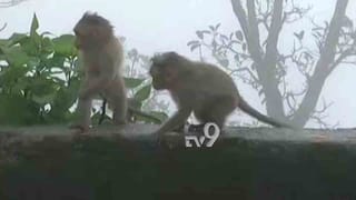 ನೆಲಮಂಗಲ: RTO ಕಚೇರಿ ಅಧೀಕ್ಷಕ ಕೊರೊನಾಗೆ ಬಲಿ