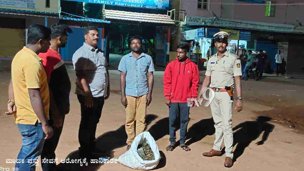 ದೇವನಹಳ್ಳಿಯಲ್ಲೂ ಗಾಂಜಾ ಘಾಟು: ಇಬ್ಬರು ಡ್ರಗ್ ಪೆಡ್ಲರ್ ಅರೆಸ್ಟ್