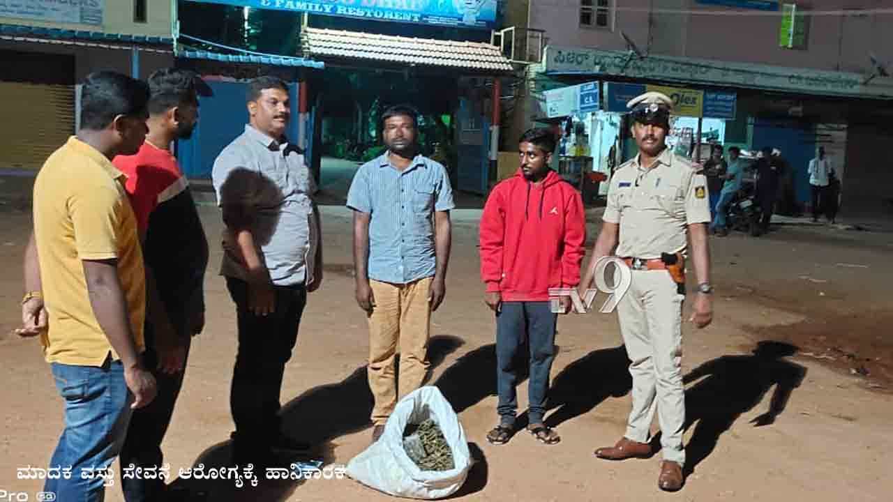 ದೇವನಹಳ್ಳಿಯಲ್ಲೂ ಗಾಂಜಾ ಘಾಟು: ಇಬ್ಬರು ಡ್ರಗ್ ಪೆಡ್ಲರ್ ಅರೆಸ್ಟ್ ದೇವನಹಳ್ಳಿಯಲ್ಲೂ ಗಾಂಜಾ ಘಾಟು: ಇಬ್ಬರು ಡ್ರಗ್ ಪೆಡ್ಲರ್ ಅರೆಸ್ಟ್