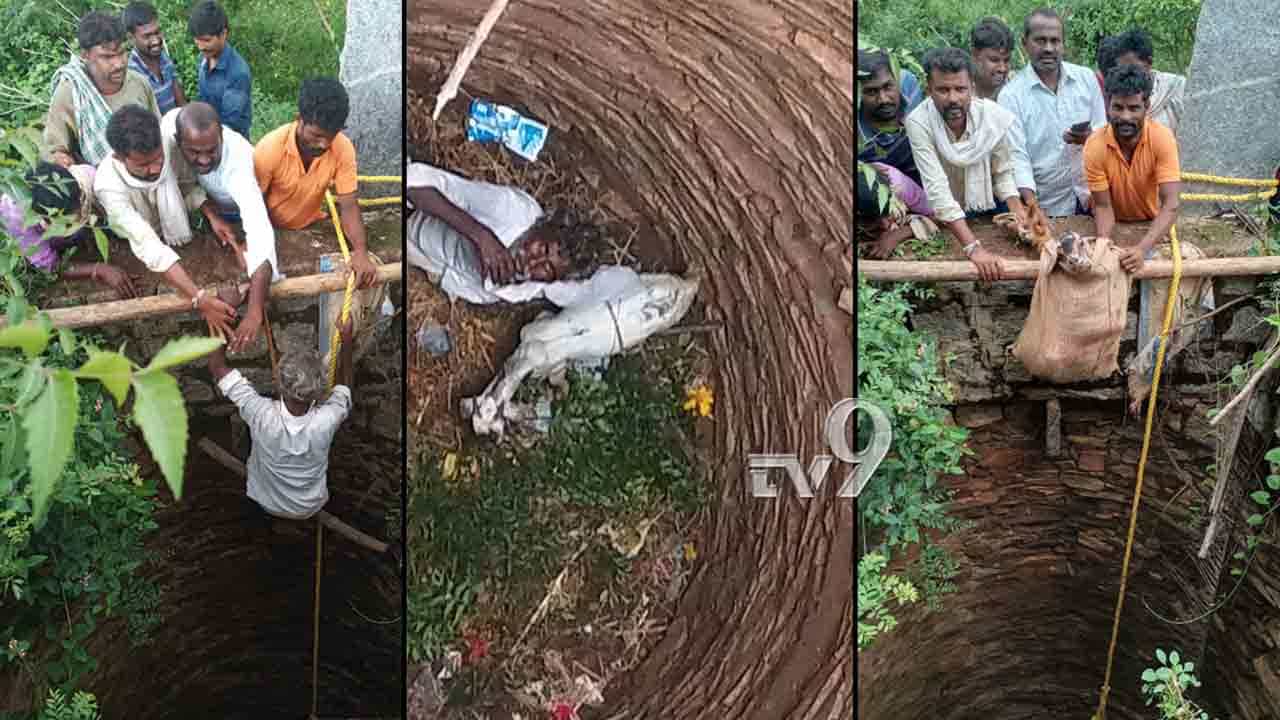 ಪಾಳುಬಾವಿಗೆ ಬಿದ್ದಿದ್ದ ಮೇಕೆಯ ರಕ್ಷಣೆ ಮಾಡಿದ ರೈತ ಪಾಳುಬಾವಿಗೆ ಬಿದ್ದಿದ್ದ ಮೇಕೆಯ ರಕ್ಷಣೆ ಮಾಡಿದ ರೈತ