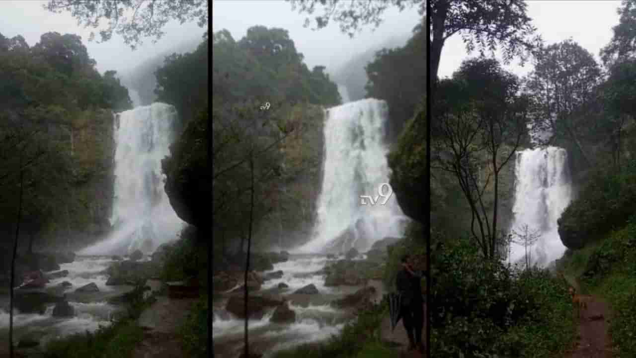 ಧುಮ್ಮಿಕ್ಕಿ ಹರಿಯುತ್ತಿದೆ ಕಾಫಿನಾಡಿನ ಹೆಬ್ಬೆ ಫಾಲ್ಸ್​, ರುದ್ರರಮಣೀಯ ದೃಶ್ಯ ಸೆಳೆಯುತ್ತಿದೆ ಕಣ್ಮನ!