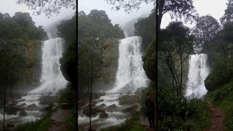 ಧುಮ್ಮಿಕ್ಕಿ ಹರಿಯುತ್ತಿದೆ ಕಾಫಿನಾಡಿನ ಹೆಬ್ಬೆ ಫಾಲ್ಸ್, ರುದ್ರರಮಣೀಯ ದೃಶ್ಯ ಸೆಳೆಯುತ್ತಿದೆ ಕಣ್ಮನ!
